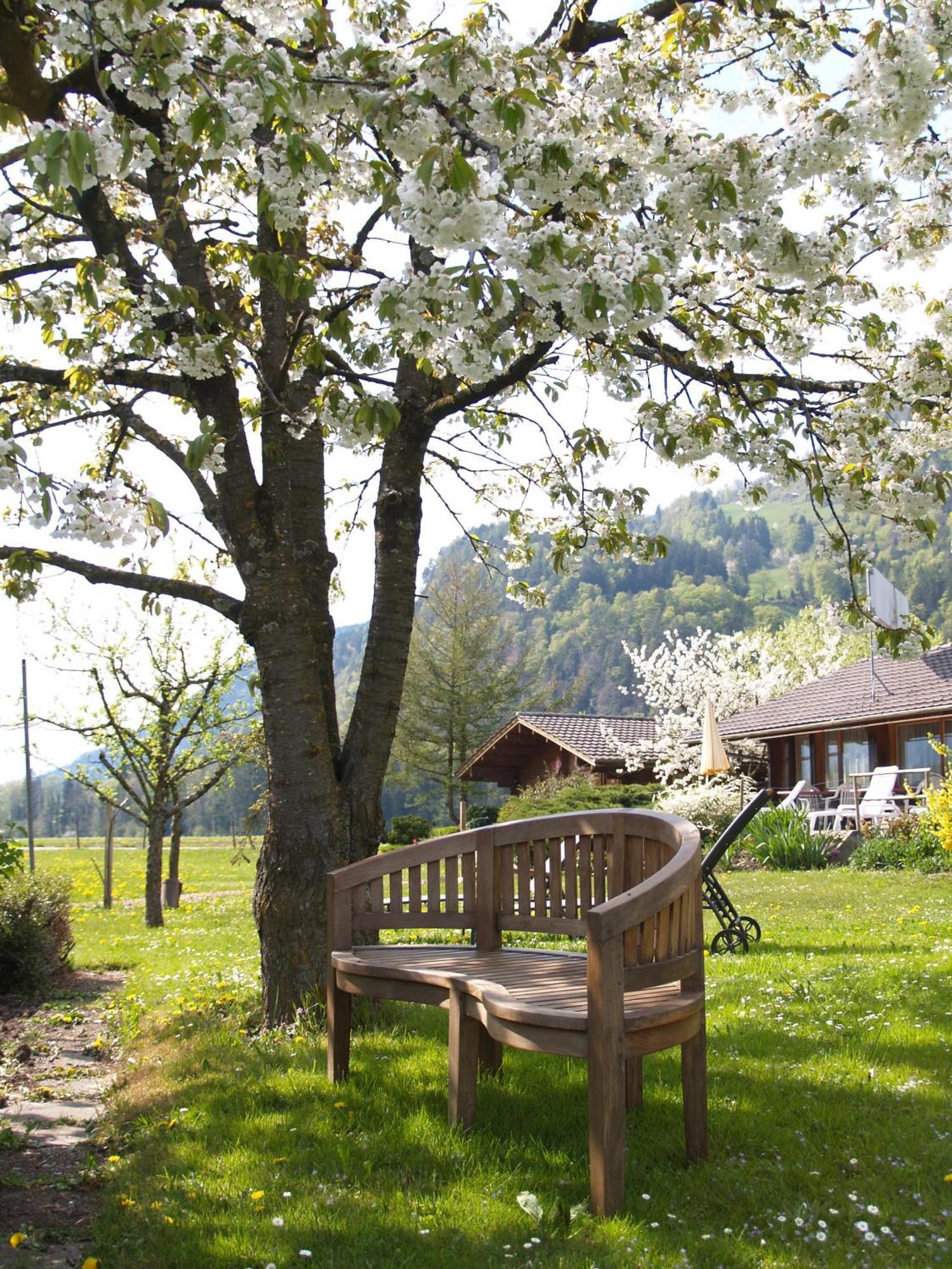 Salzano Basic Rooms Interlaken Unterseen Exterior foto